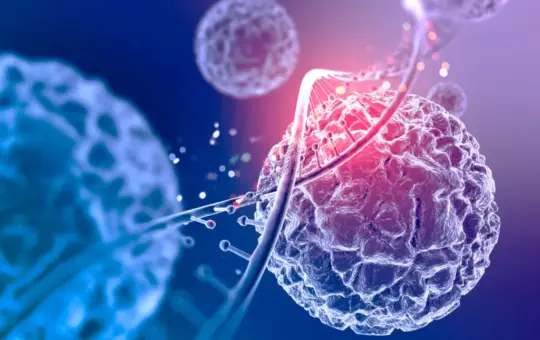 reparacion adn celular